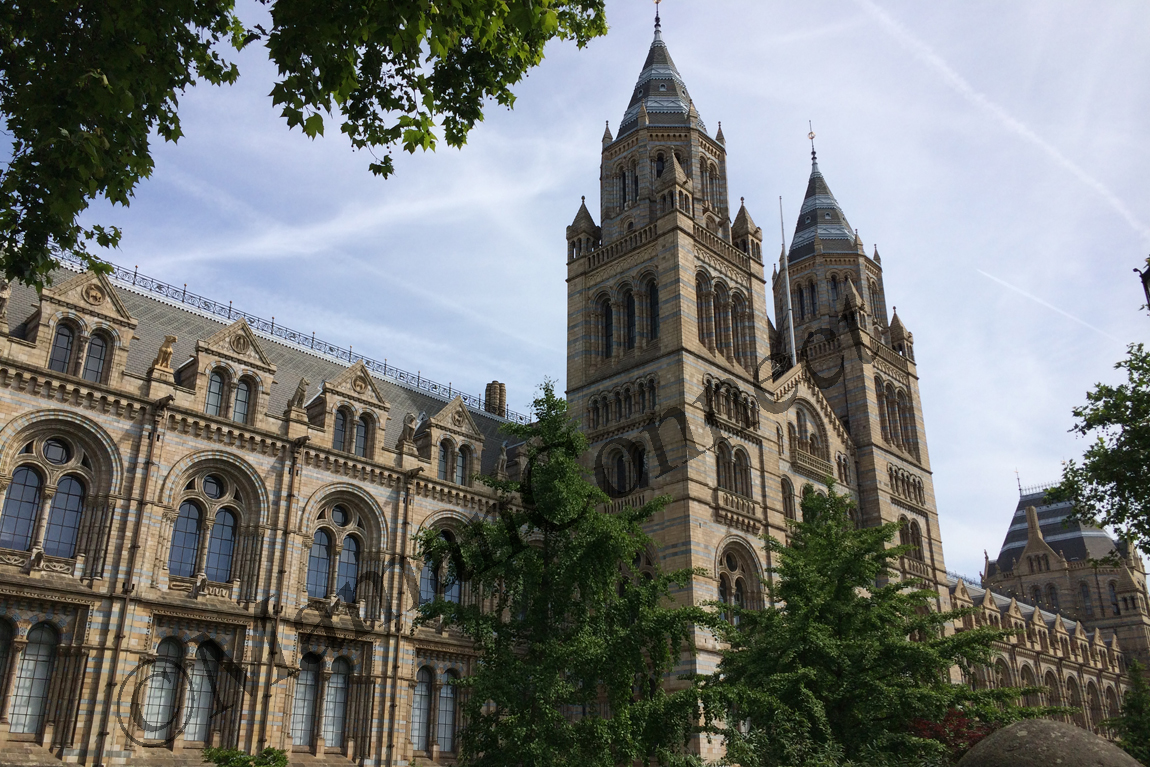 History Natural Museum London