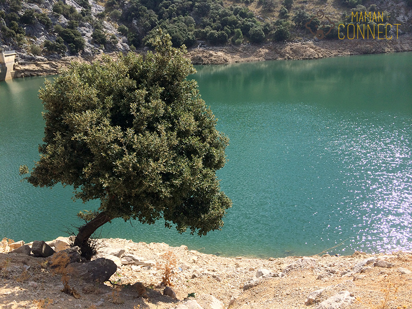 Lac Gorg Blau Majorque