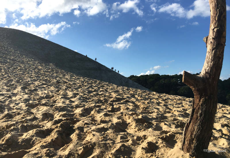 dune du pyla pilat