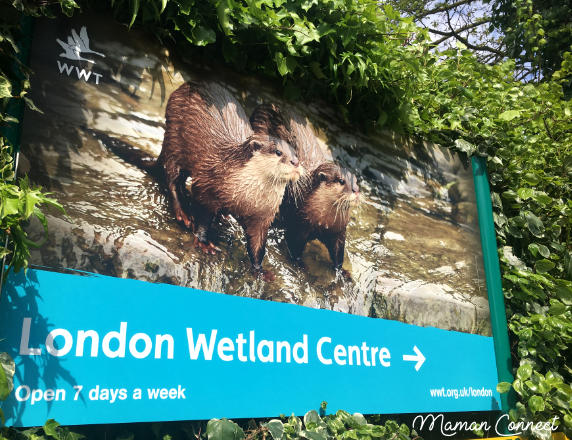London Wetland Center
