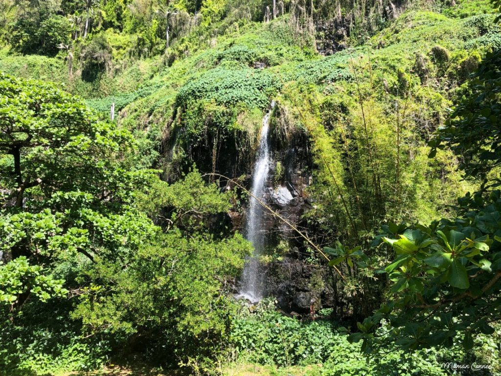 Anse des cascades Réunion