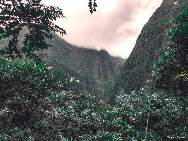 Cascade blanche la Réunion